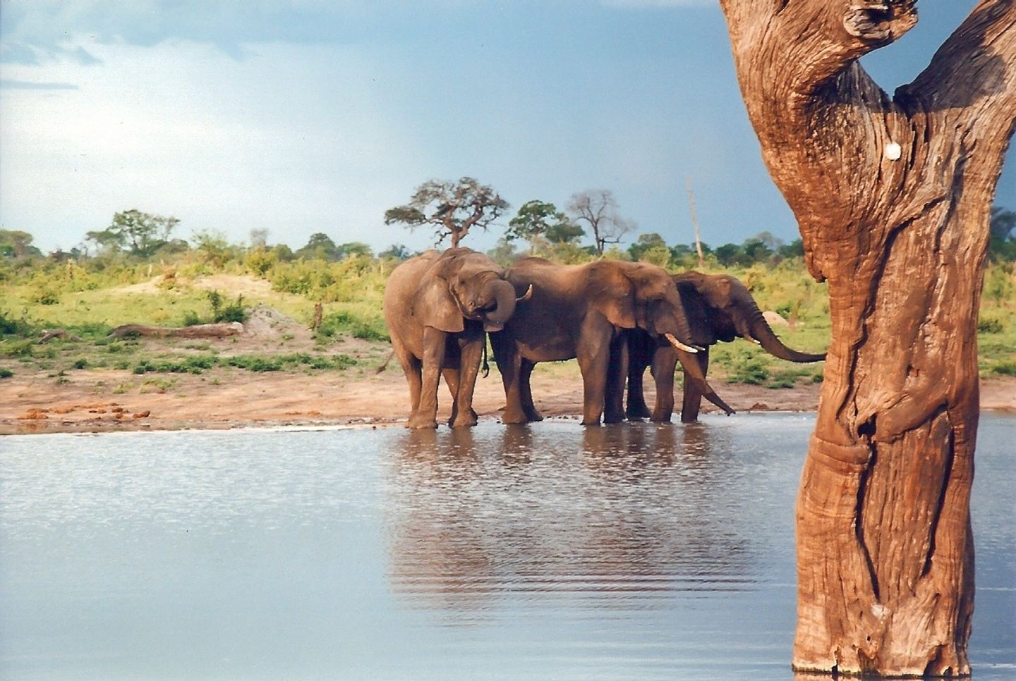 3 Day Hwange Safari