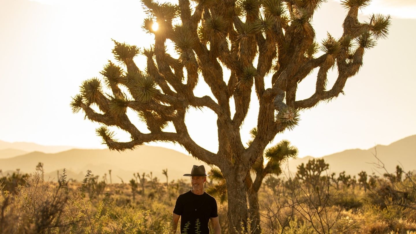 The Desert Reset