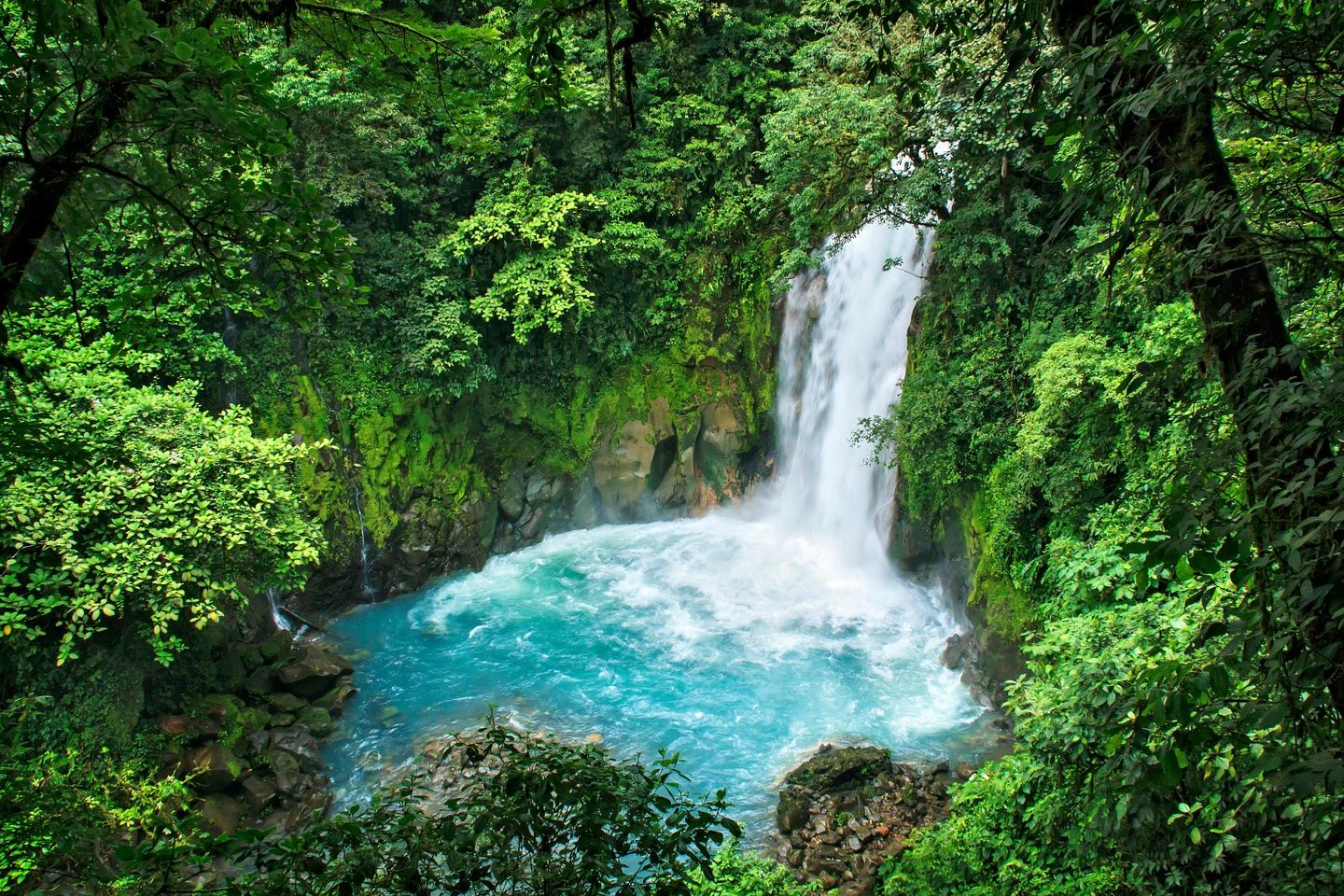 200-HR Yoga Teacher Training in Costa Rica!