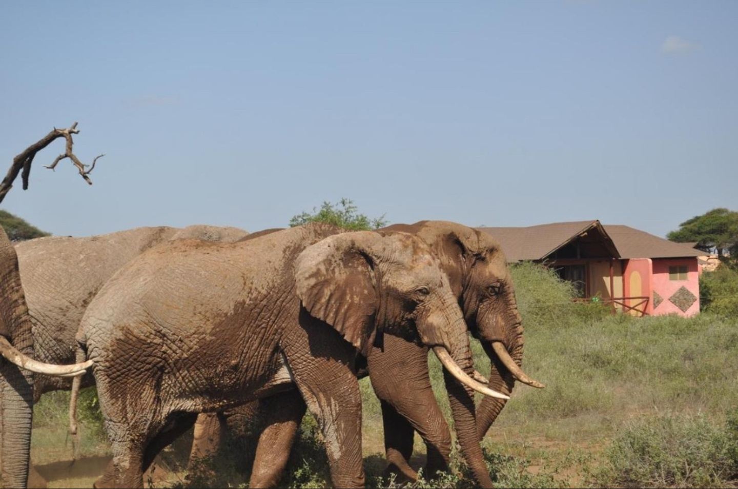 Amboseli 3 days Package