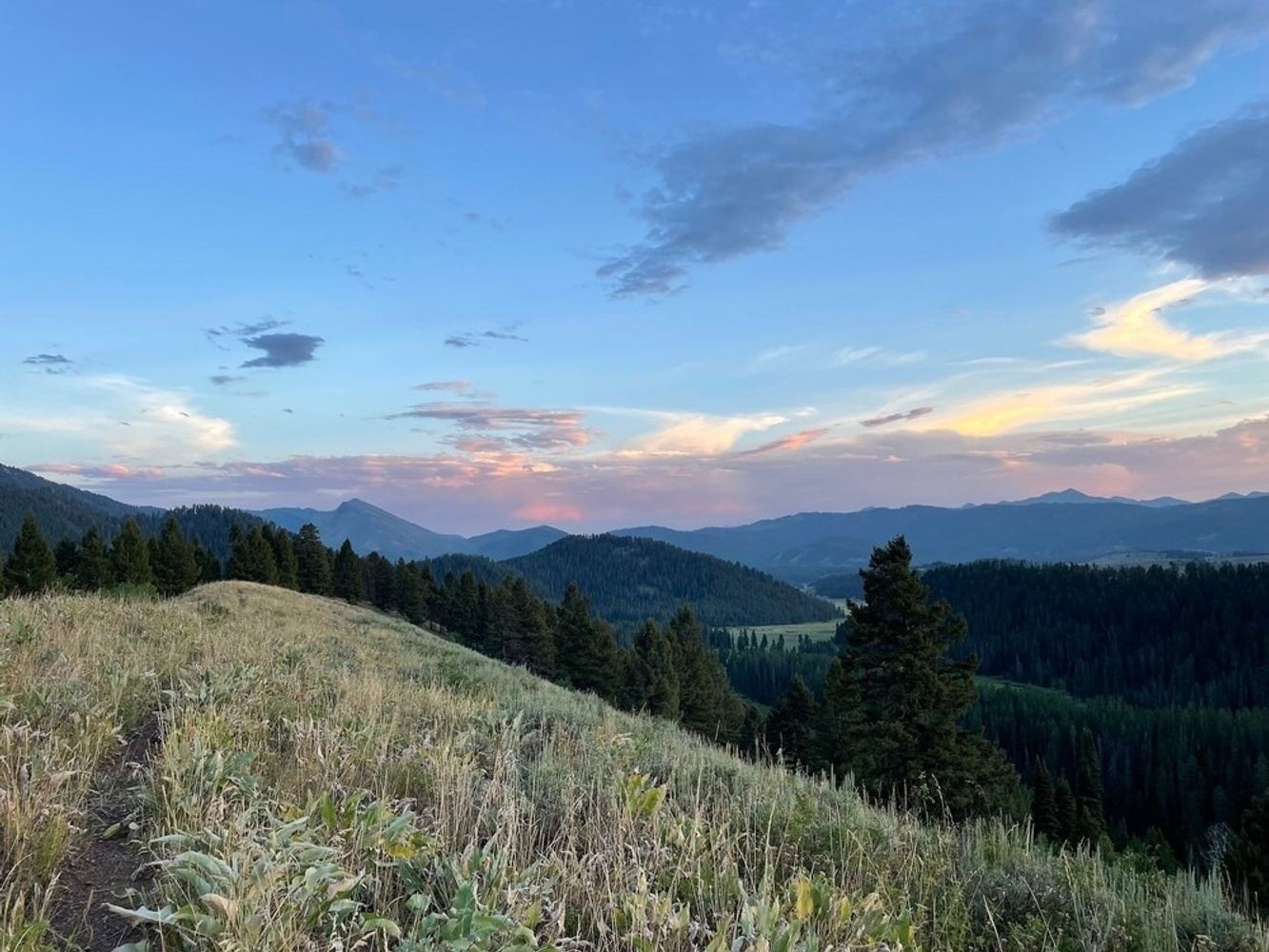 Dinner Horseback Trail Ride