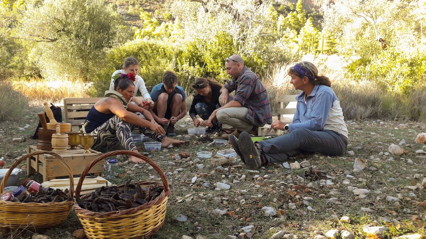 Carob Workshop