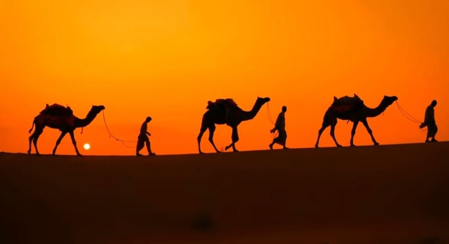 Marruecos - Marrakech y desierto!