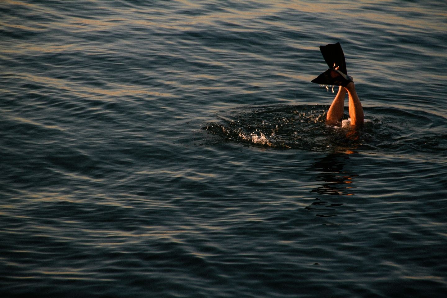 Buceo y surf