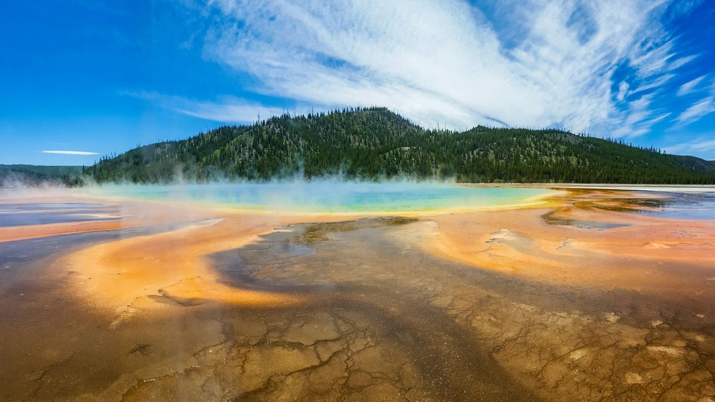 Wildlife Wonders of Yellowstone National Park