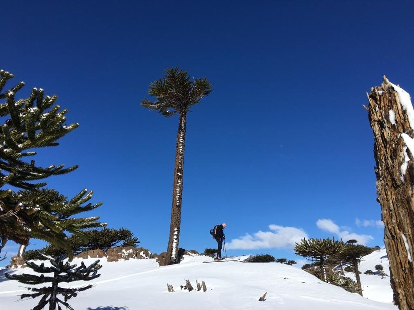 Prueba 10-Day Ski Tour - Lake and Volcano District