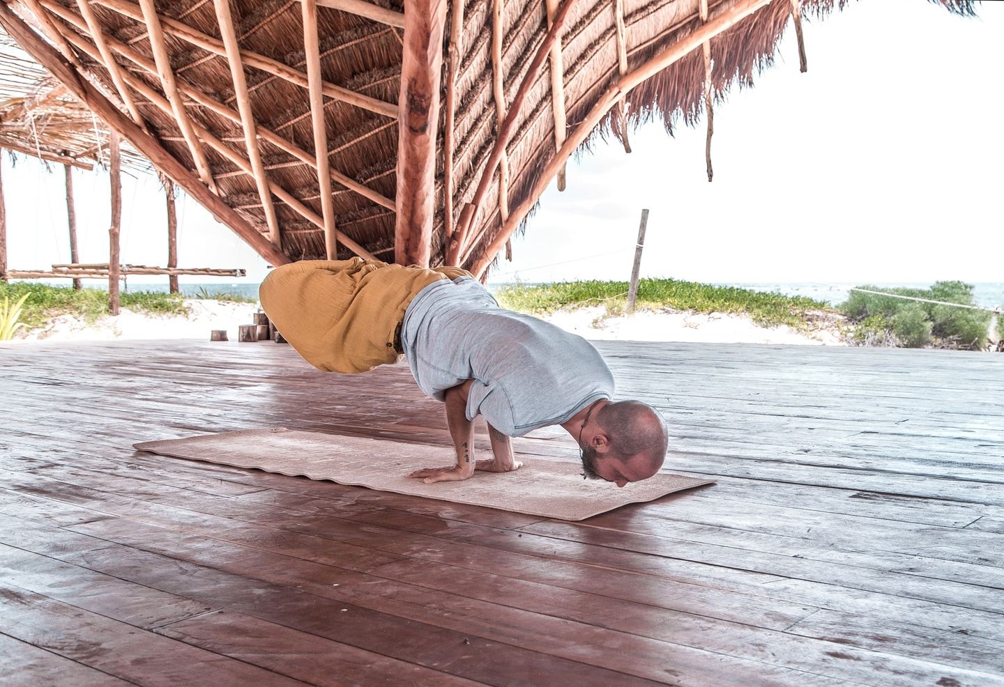 Hatha Flow Yoga: