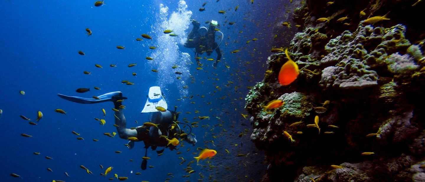 Reefs to Peaks:  Curacao