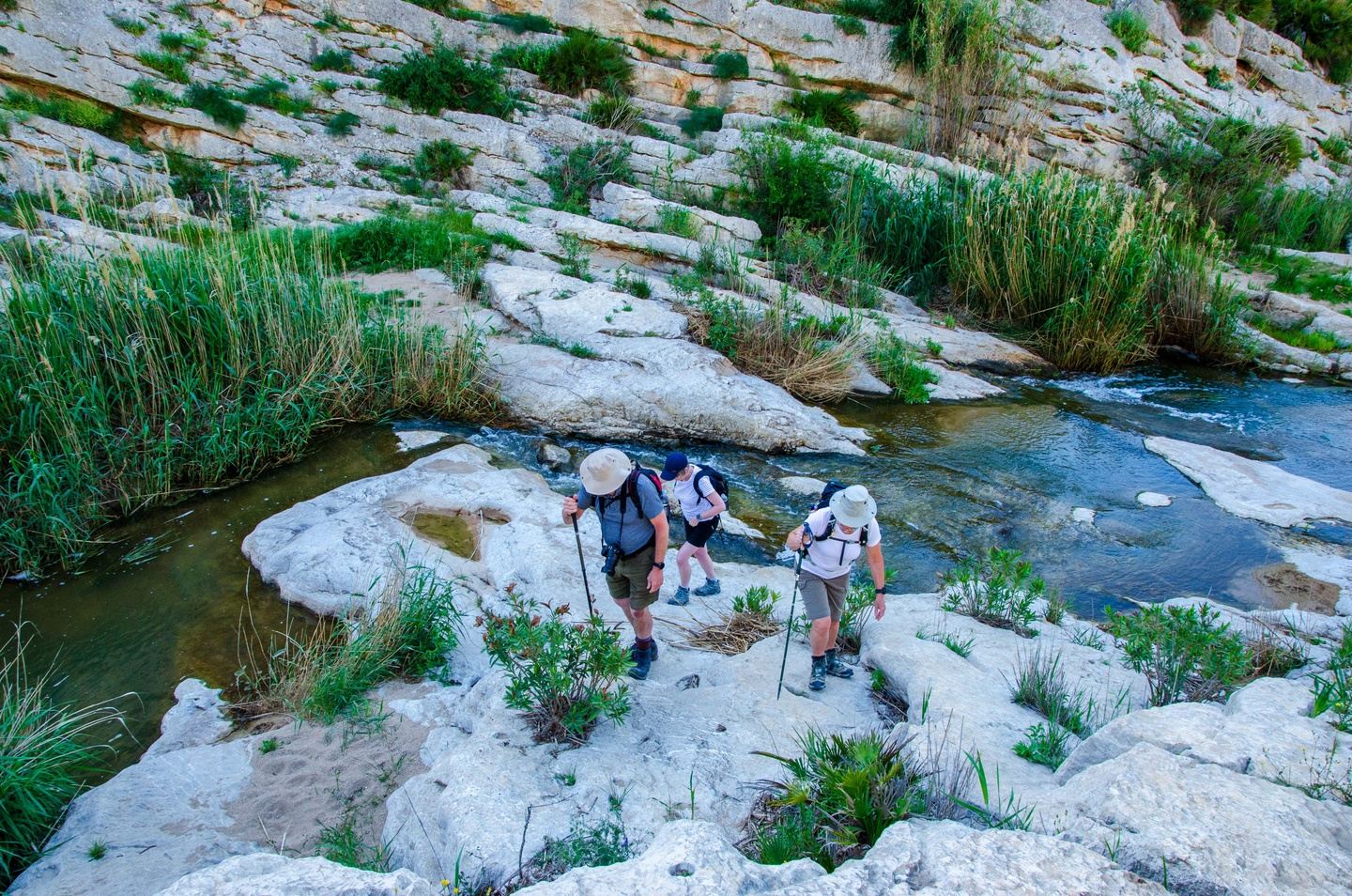 A Taste of Andalucía Walking Weekend
