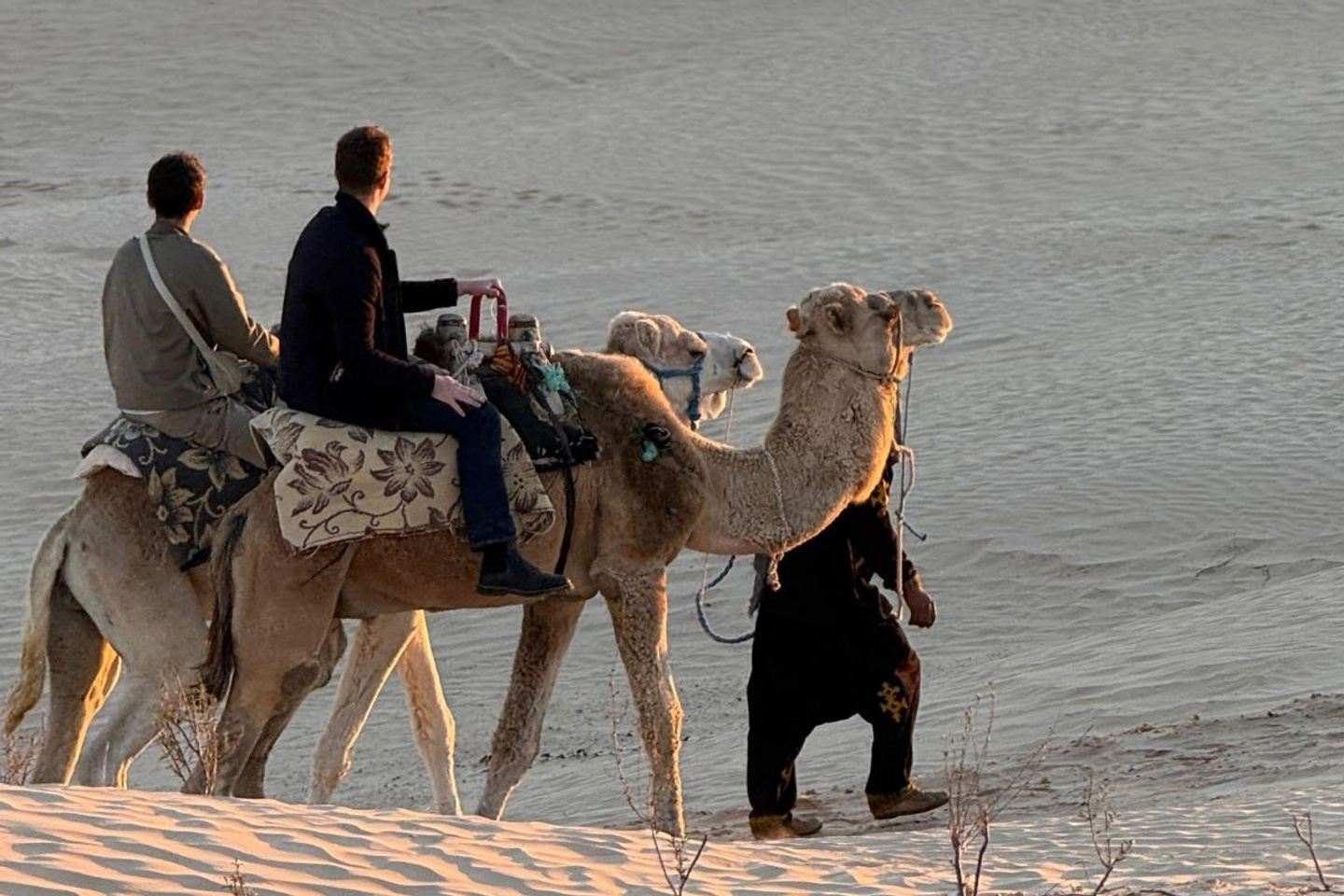 From Tunis - Sousse: 2-Day Sahara Desert Camp & Oases Tour