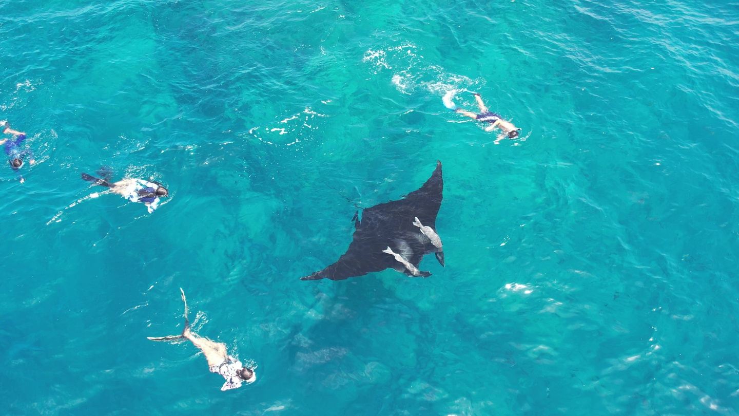 Sea of Cortez Safari Expedition