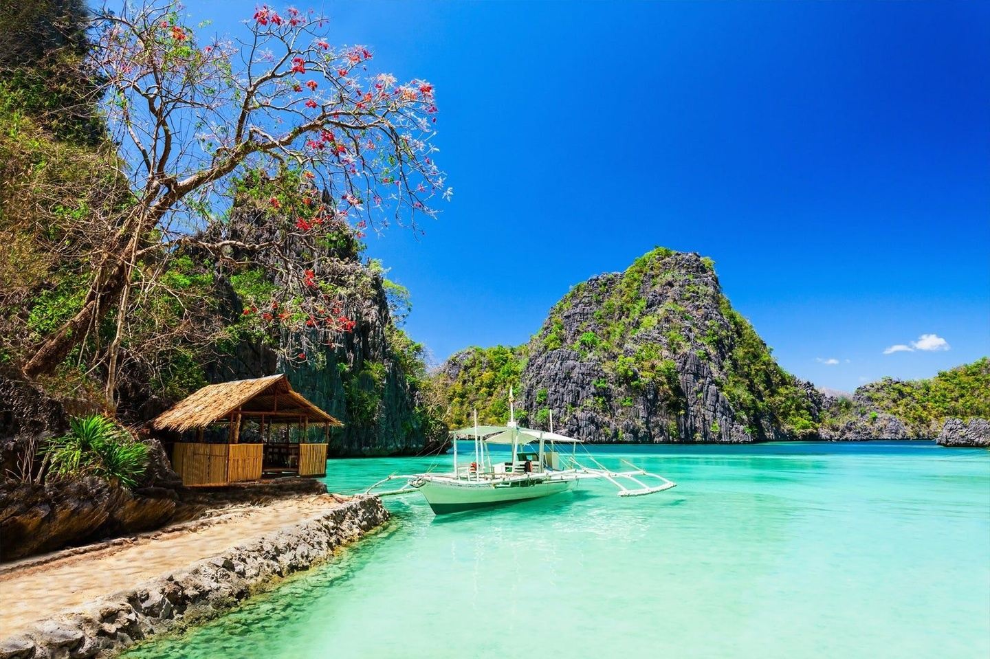 7 Day Freediving Retreat with Certification in Coron Palawan