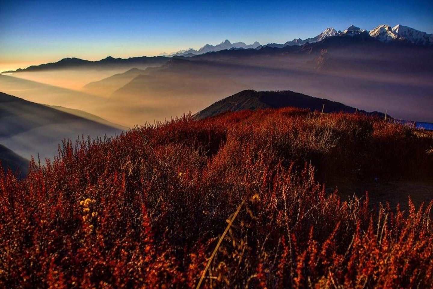 Langtang Valley with Gosainkunda Pass Trek