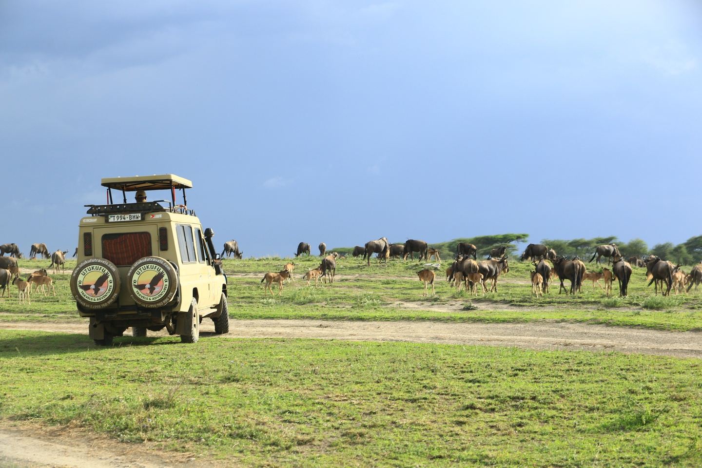 8-Day Ndutu Calving Safari Adventure Comfort Style