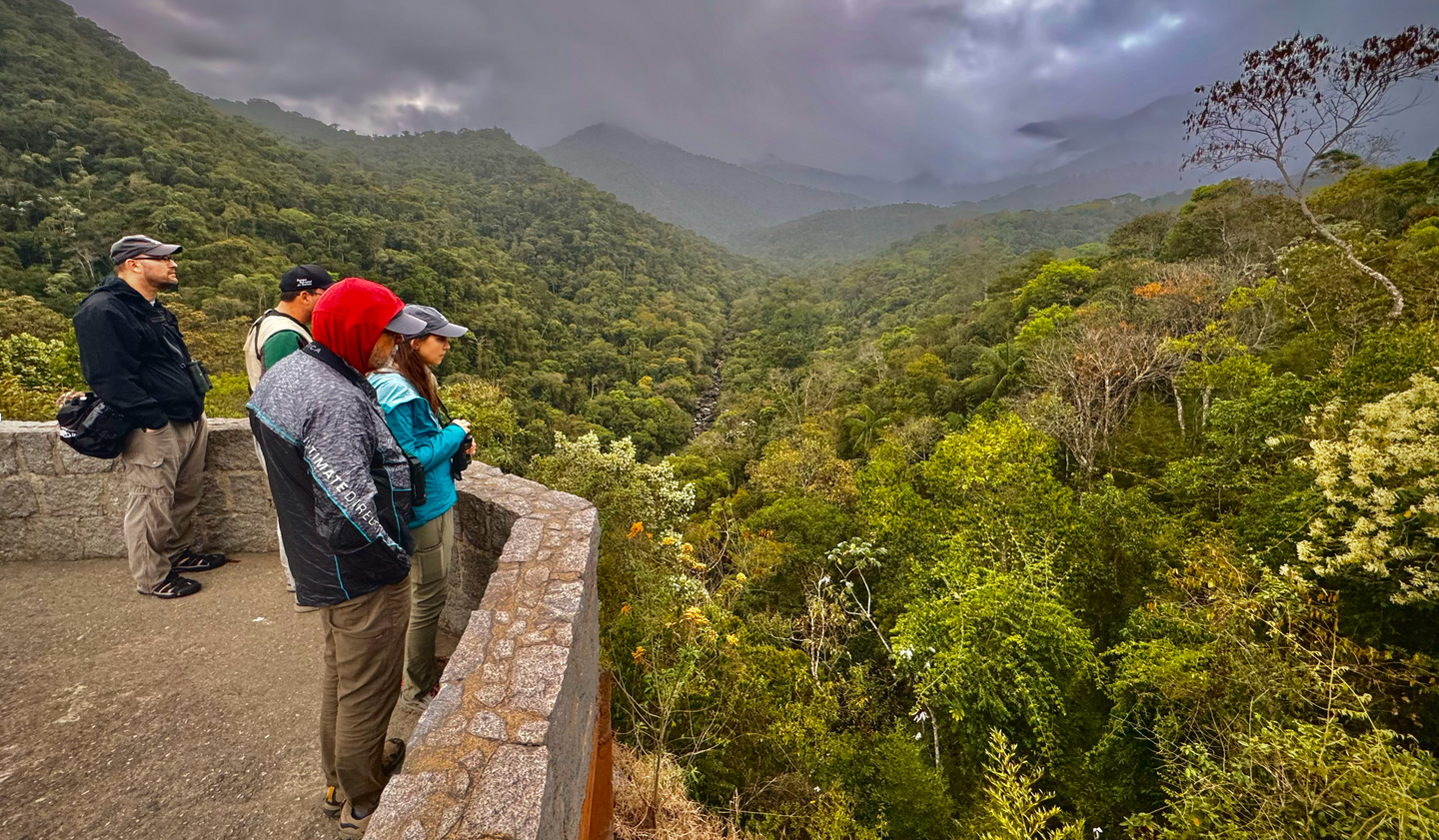 The Atlantic Forest:  Birding Itatiaia, 2025