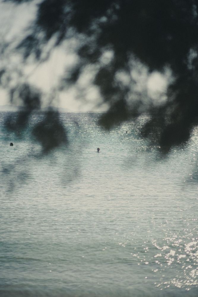 From Movement to Meaning | A Yoga & Mindset Retreat
