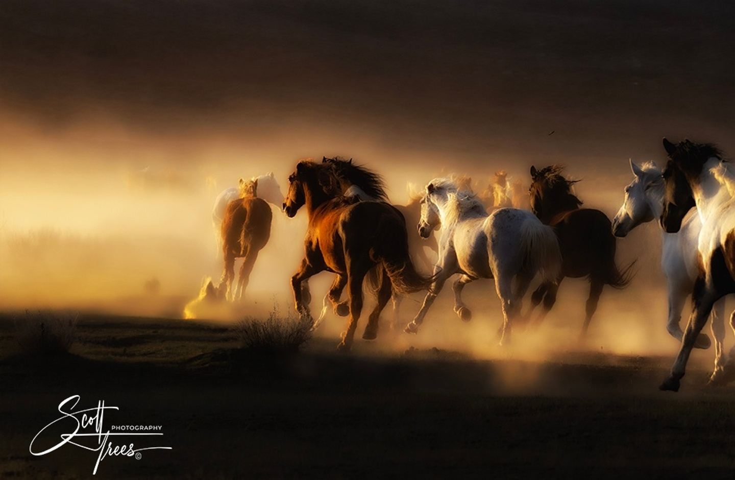 Chasing Light and Bending Shadows :  Photography Mentorship
