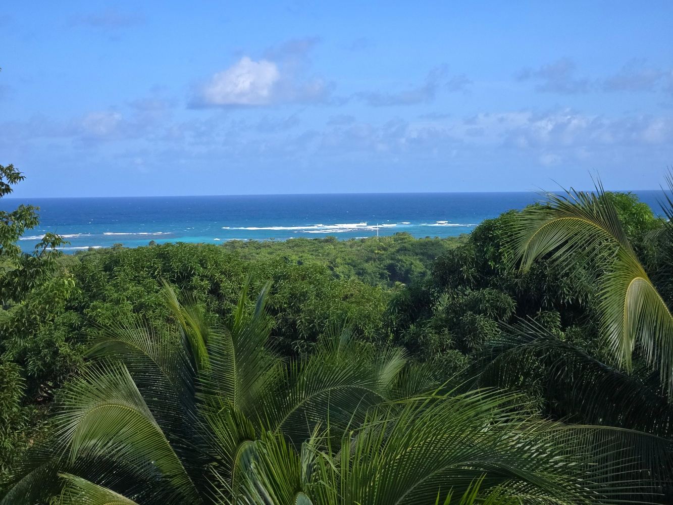 Full Property Rental for Yoga, Wellness & All-Inclusive Group Retreats
