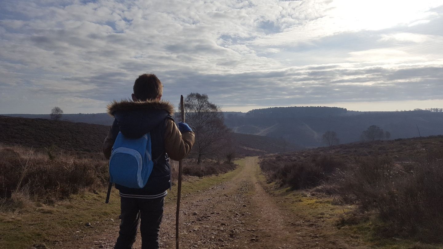 Cannock Chase Exploration Walk (Boys & Girls Aged 8+)