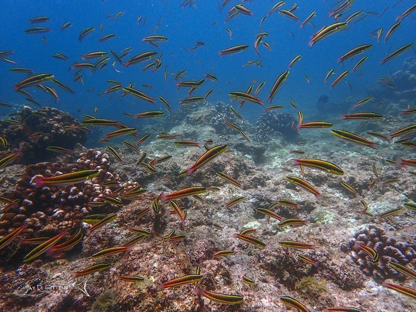 Espiritu Santo National Park Tour (Snorkeling)