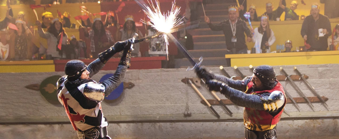 Knights in Training Stage Combat Program