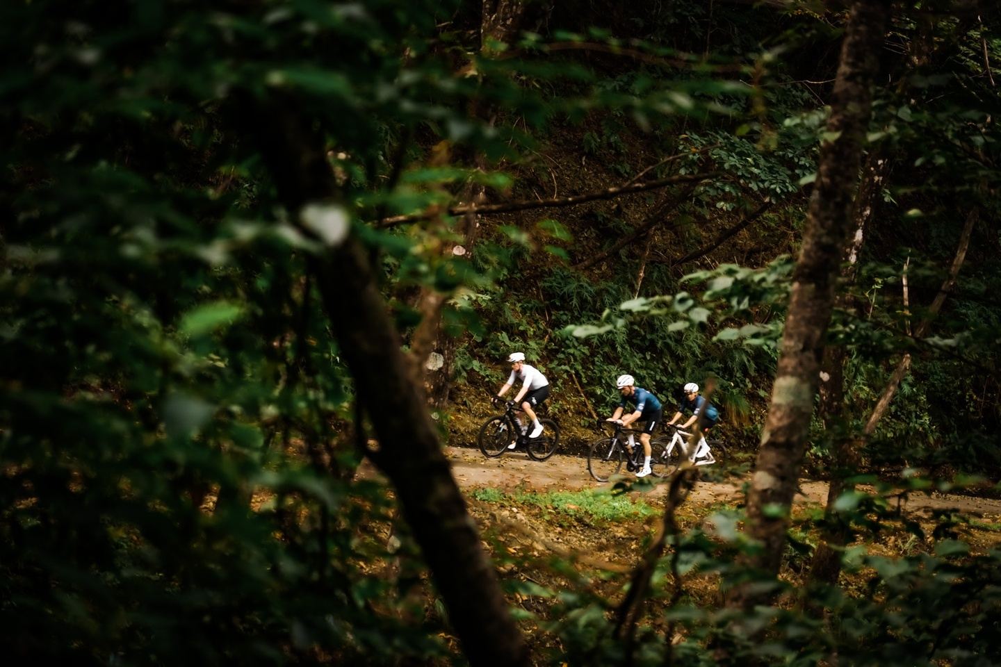 2026 JAPAN: TOKYO TO KYOTO 9 DAY