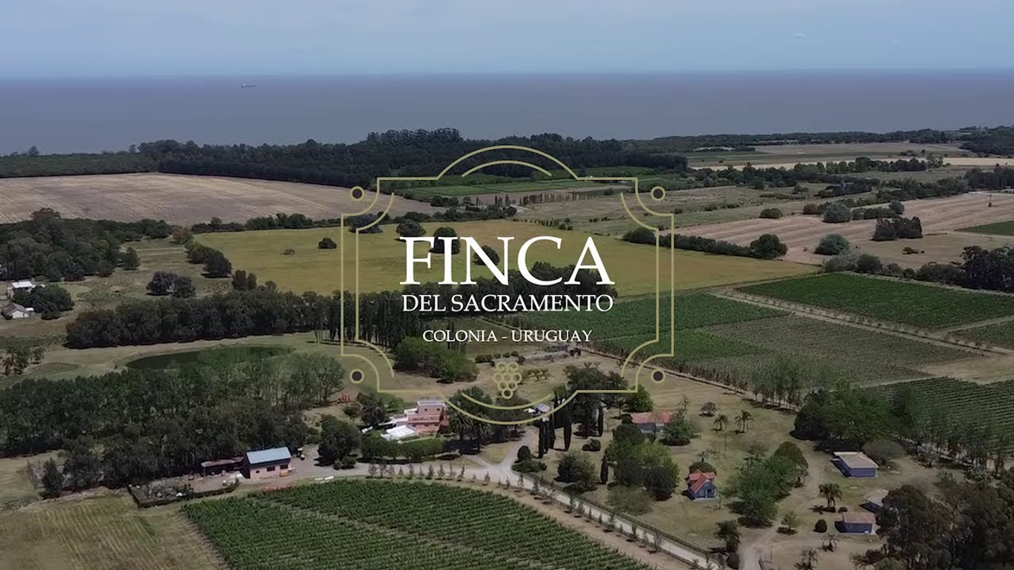WINE EXPERIENCE - COLONIA DEL SACRAMENTO