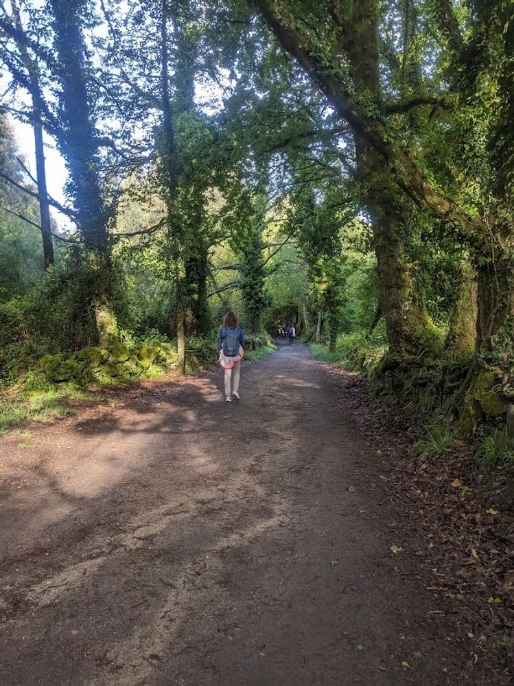 Coastal Portuguese Camino by Andreina Febres