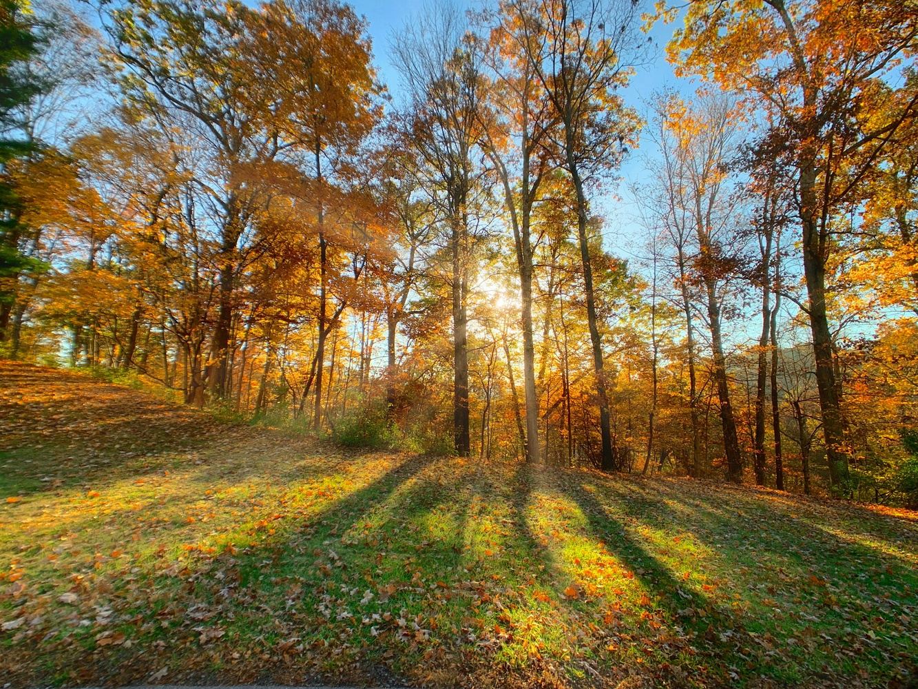 WELLNESS + REJUVENATION IN WATERFORD, MAINE (3 NIGHTS)