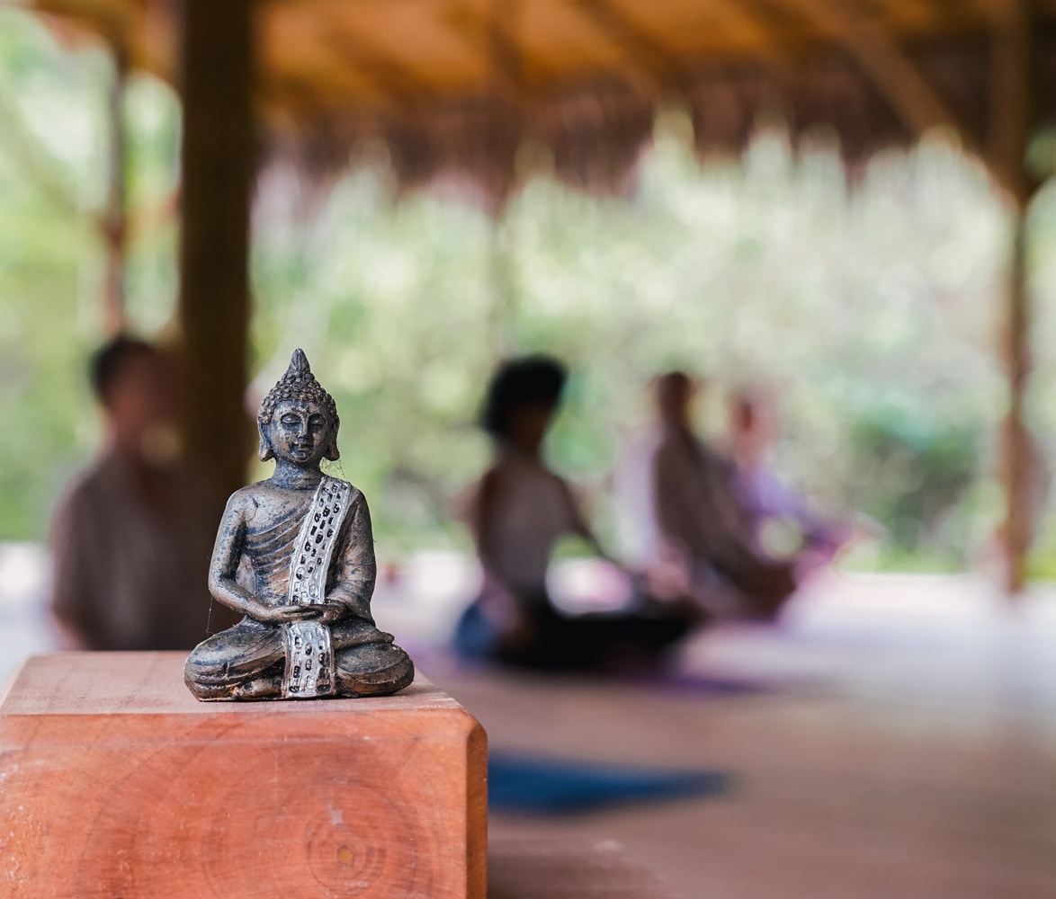 Meditation & Plant Medicine Retreat