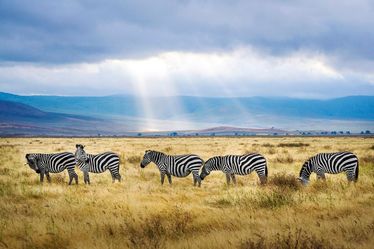 Tanzania with Janet's Journeys