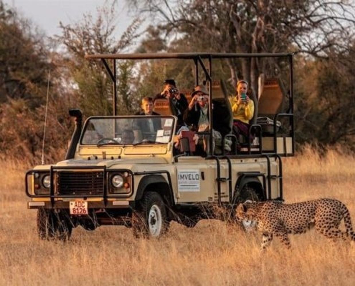 AM/PM Game Drive