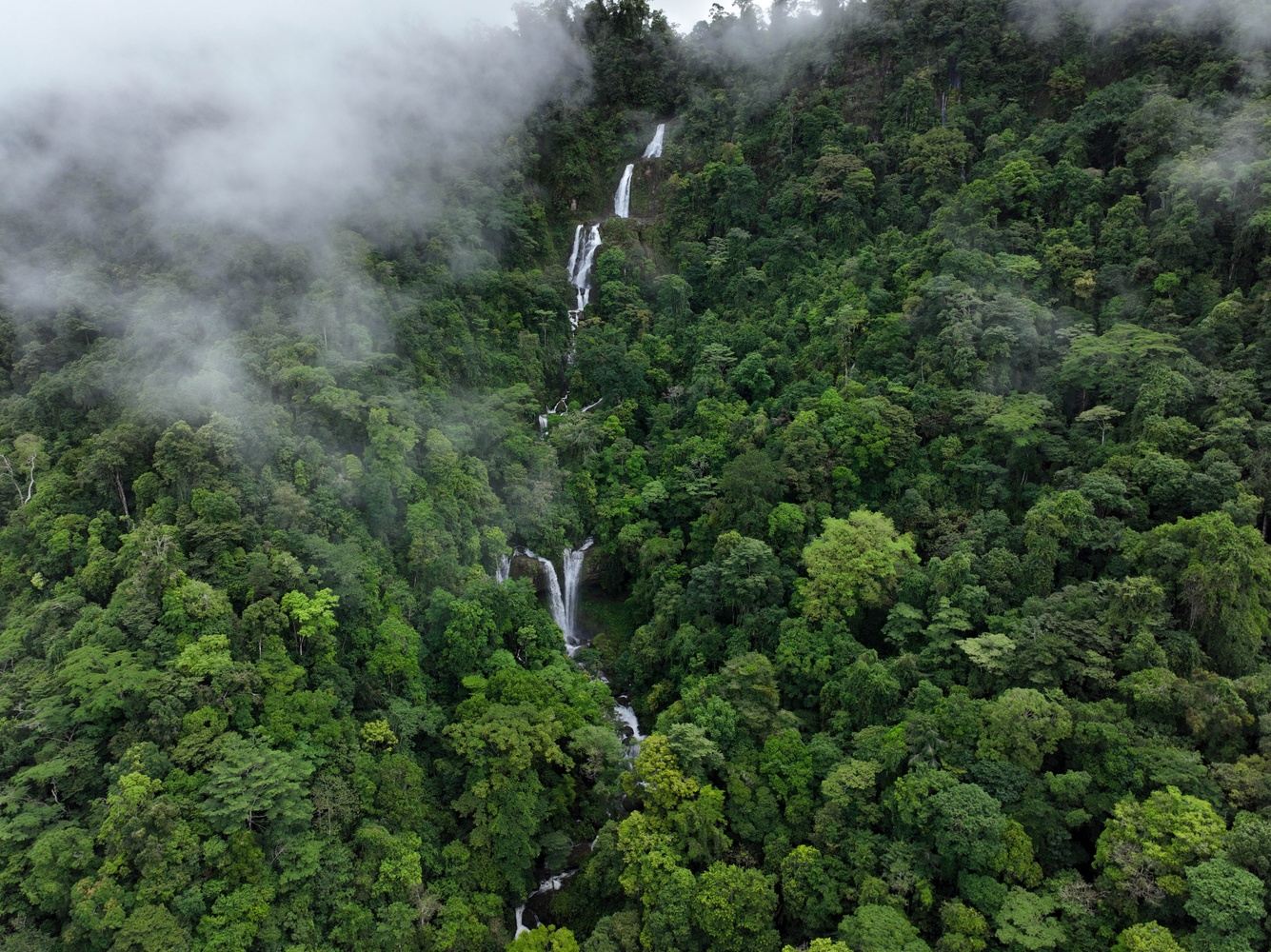 Florida Yoga Mama Retreats: Costa Rica 2027