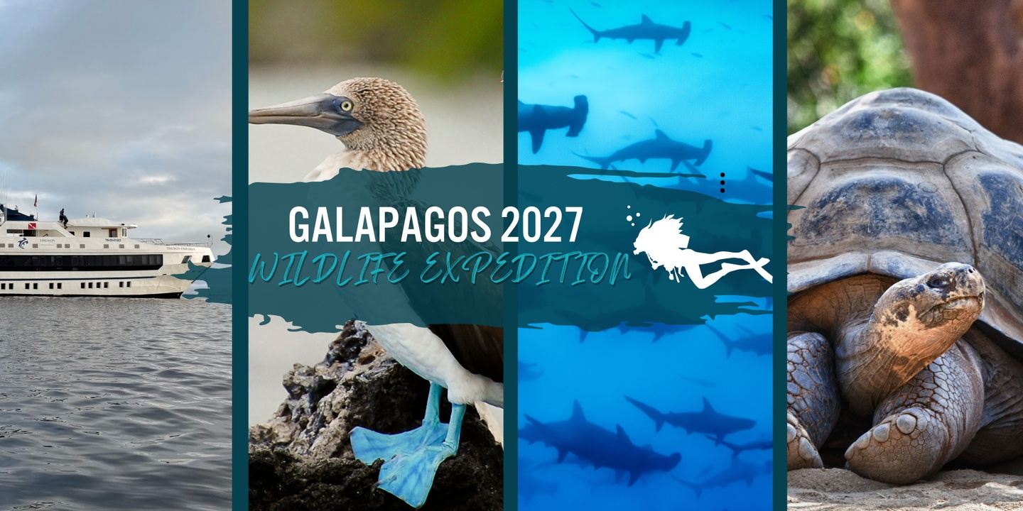 Galapagos Wildlife Expedition 2027