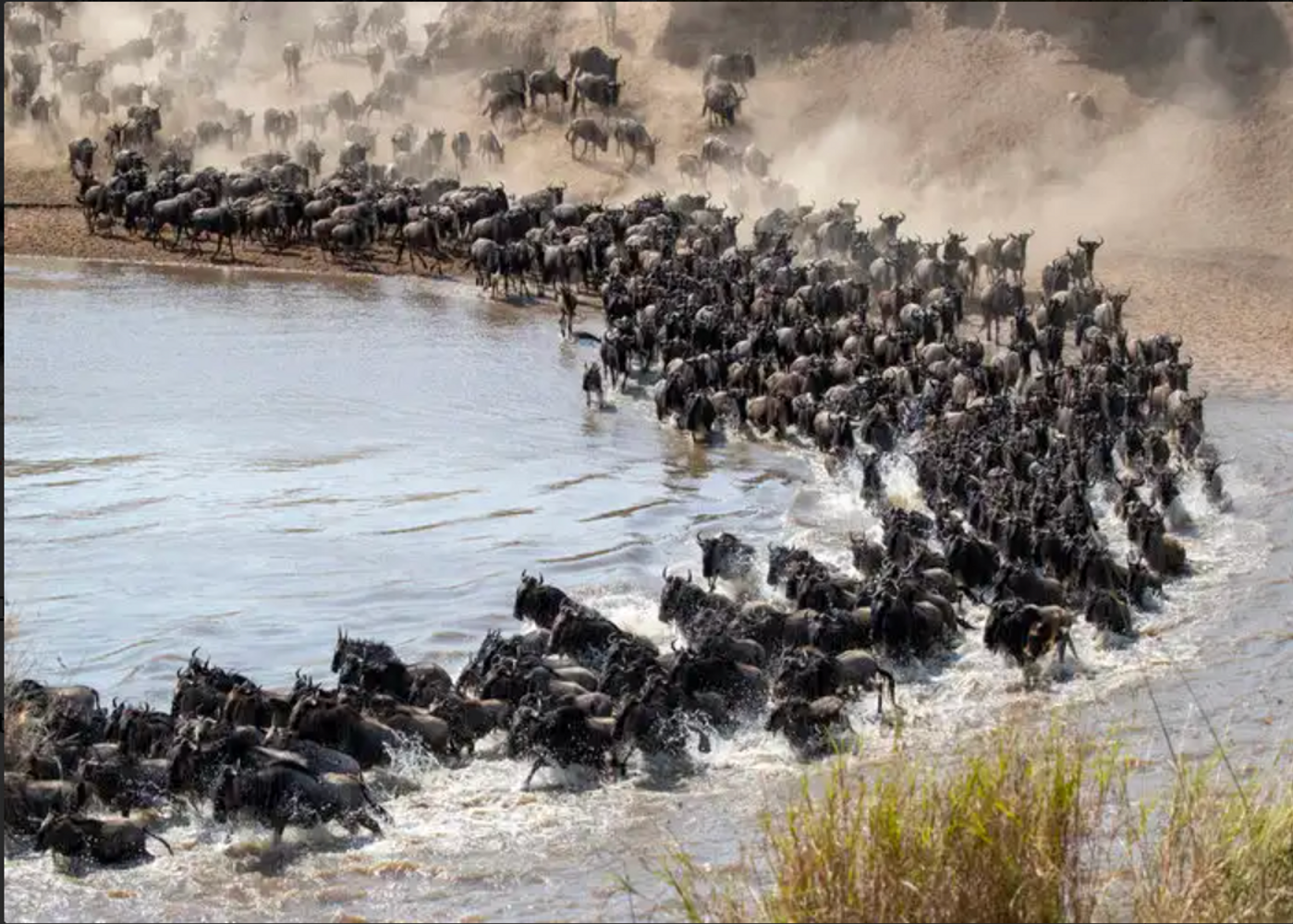8 Day Serengeti Migration River Crossing Safari
