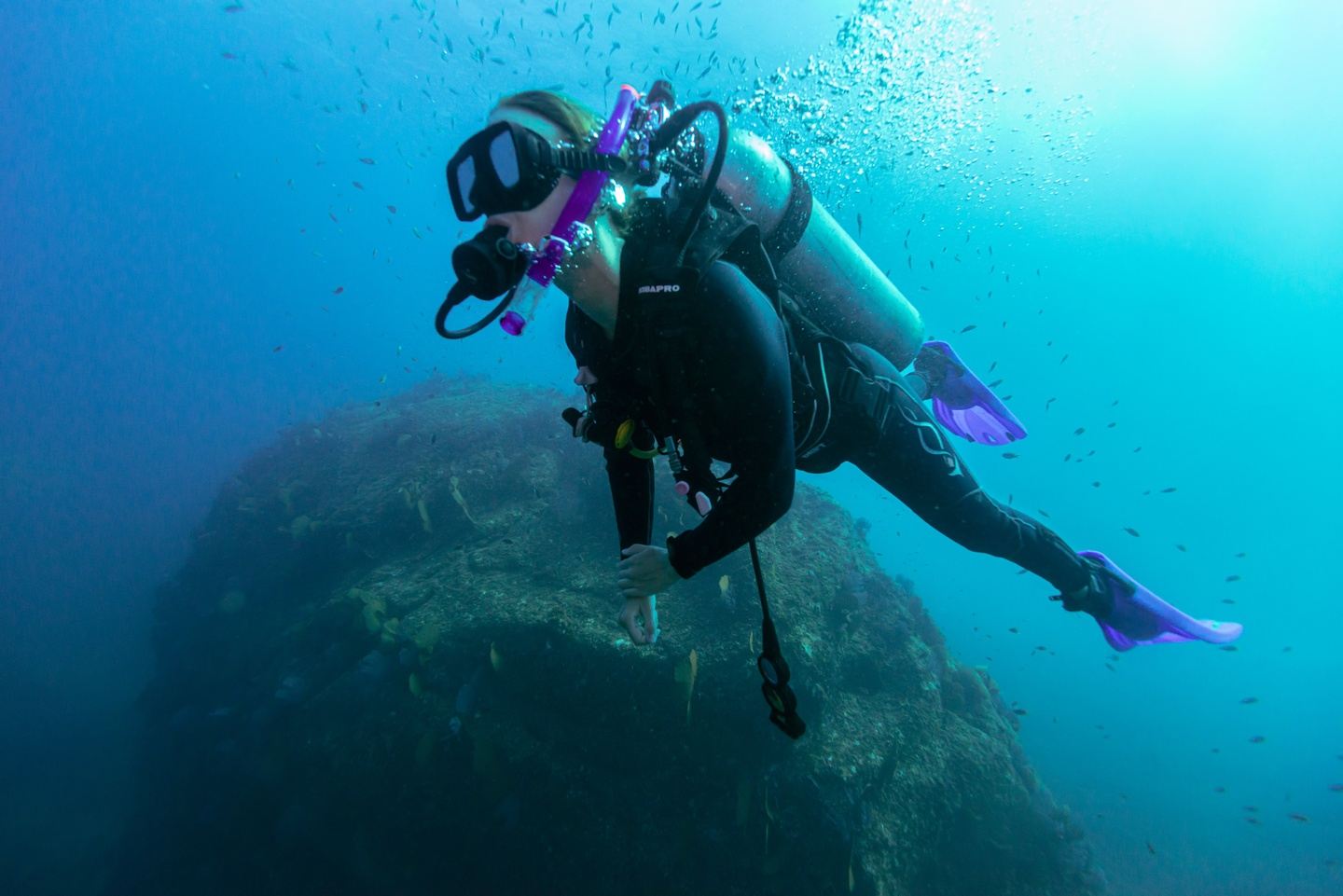 PADI Open Water Diver Certification