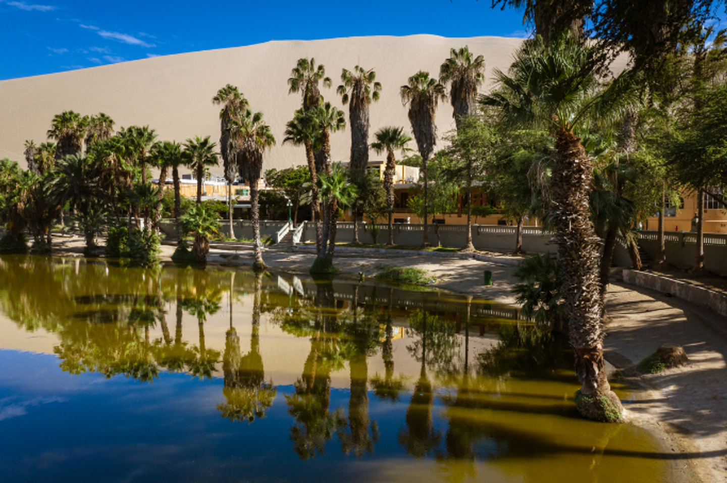 Ballestas, Ica, Huacachina Full day