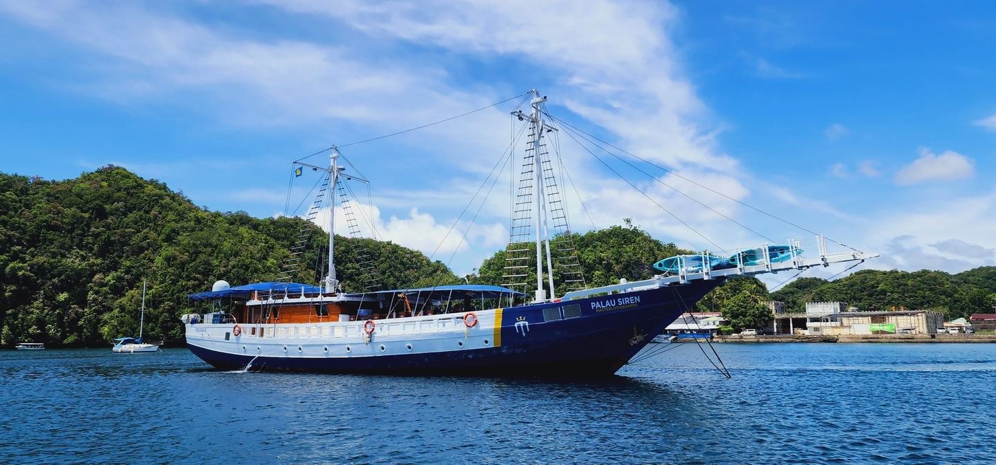 Palau Red Snapper Spawning Dive Trip!