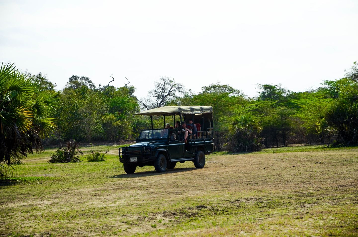 3 -Days Nyerere National Park Safari