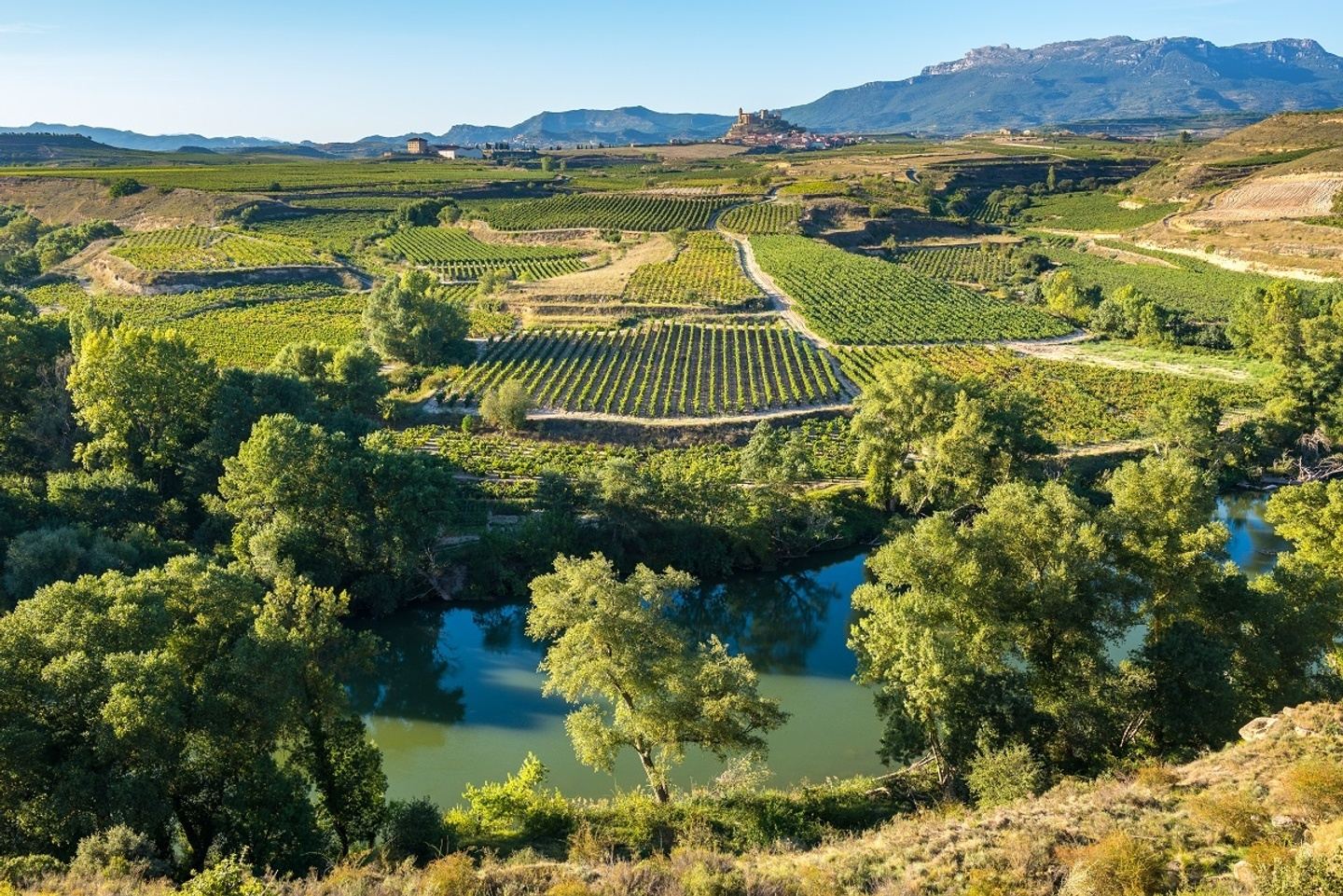 Cuisine, Culture & Wine of San Sebastián, Rioja & Madrid With a Chef