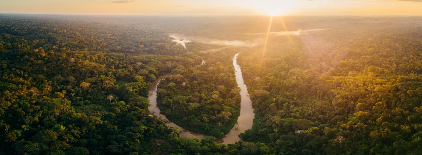 Rainforest Immersion September 2022 - ($4,150)