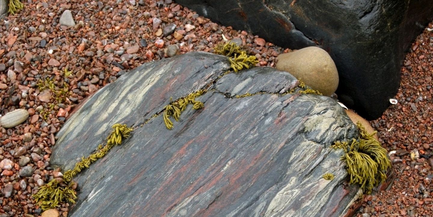 Moray Firth Geo-retreat - November 2026