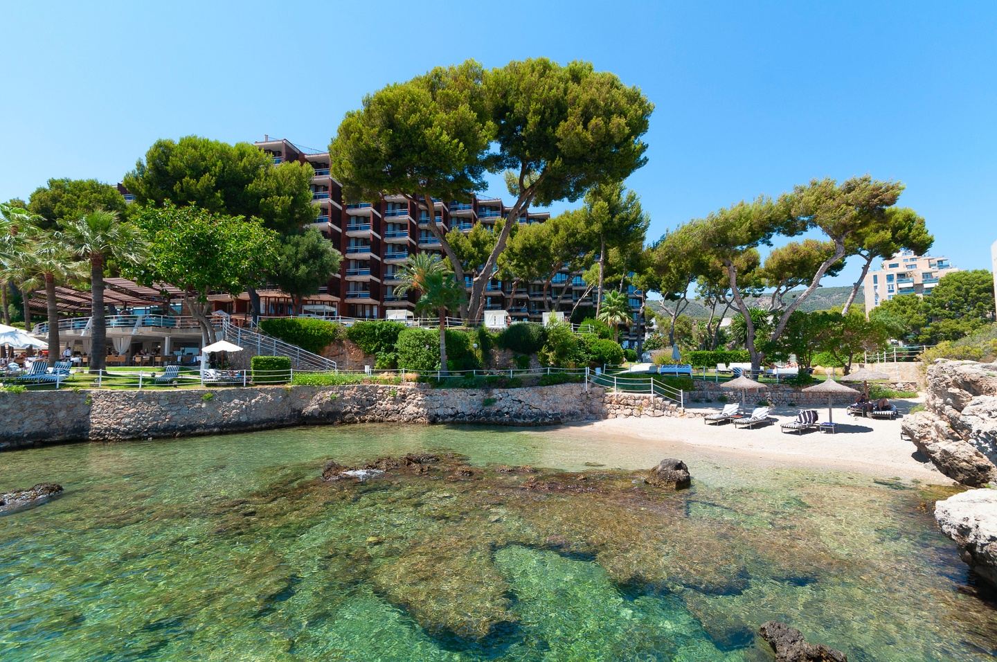 Mallorca BJJ and Yoga Festival 2025 — Fall Edition