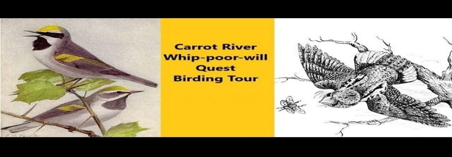 Carrot River Birding Tour: Whip-poor-will Quest
