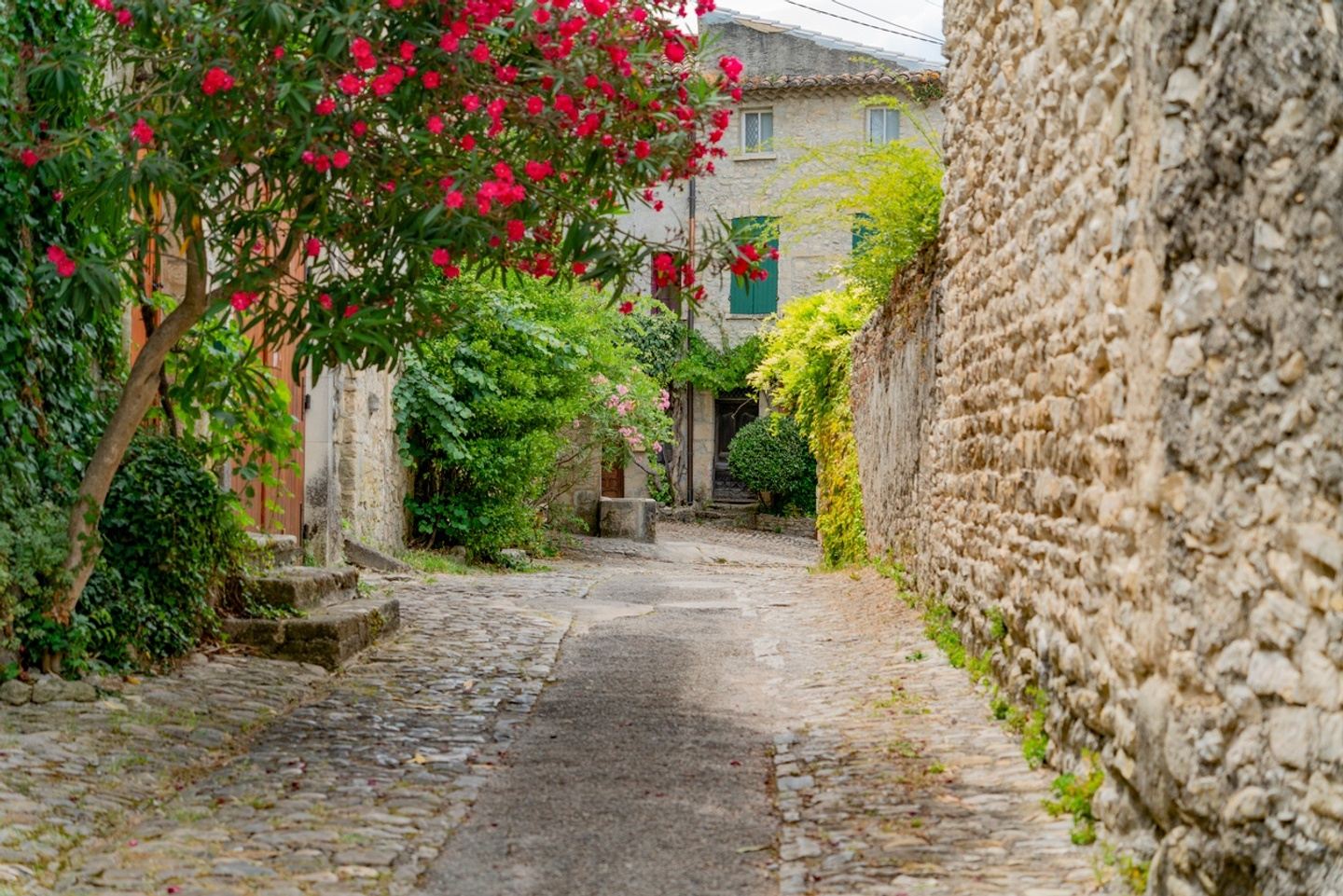 Painting Provence: An Artist Workshop in France