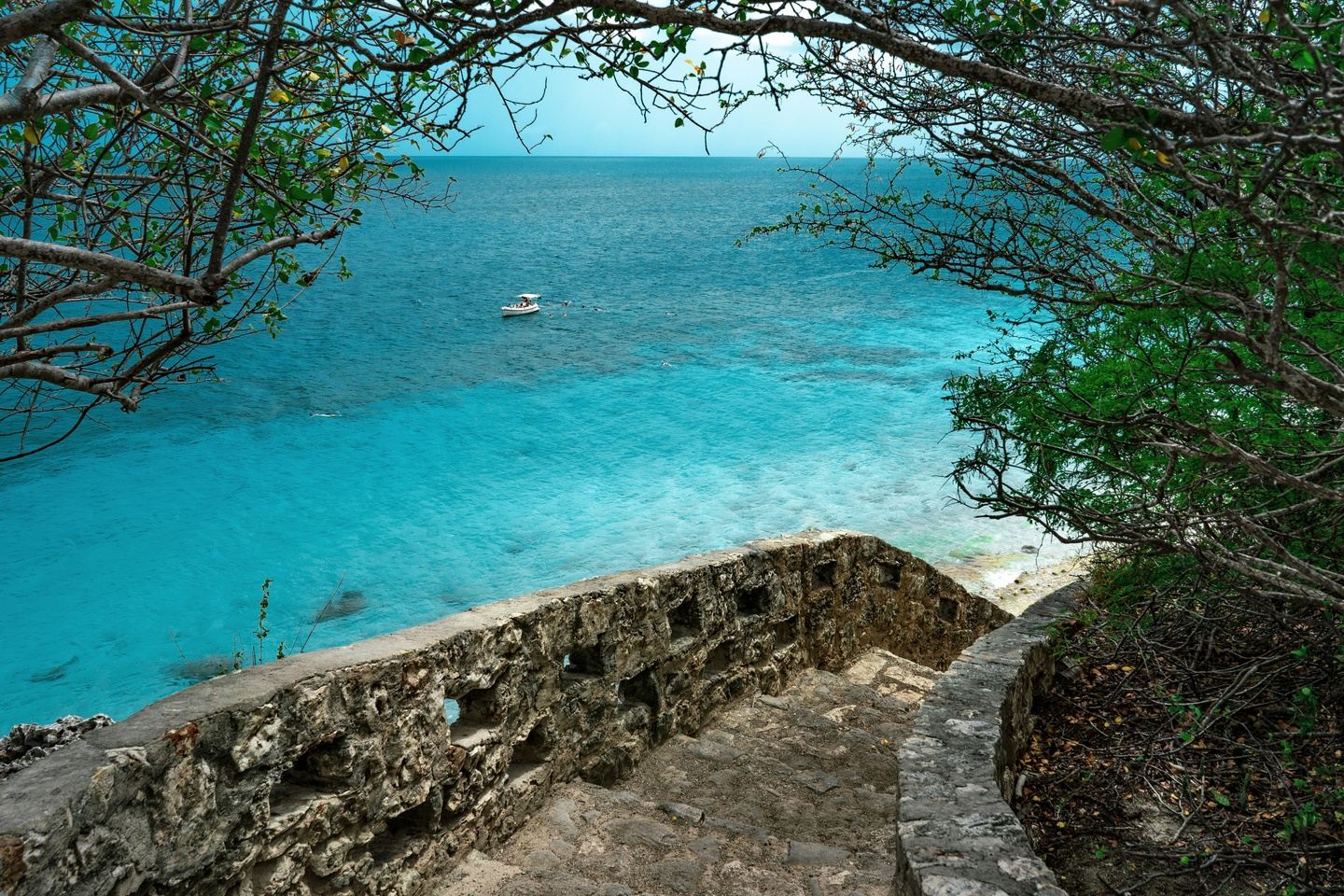 Beautiful Bonaire -Dive, Drive, Repeat