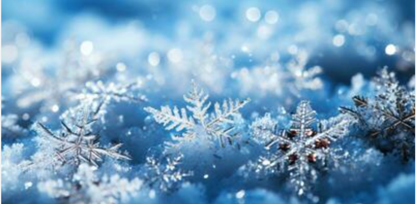 Winter Reflection ~ Writer's Journey Retreat