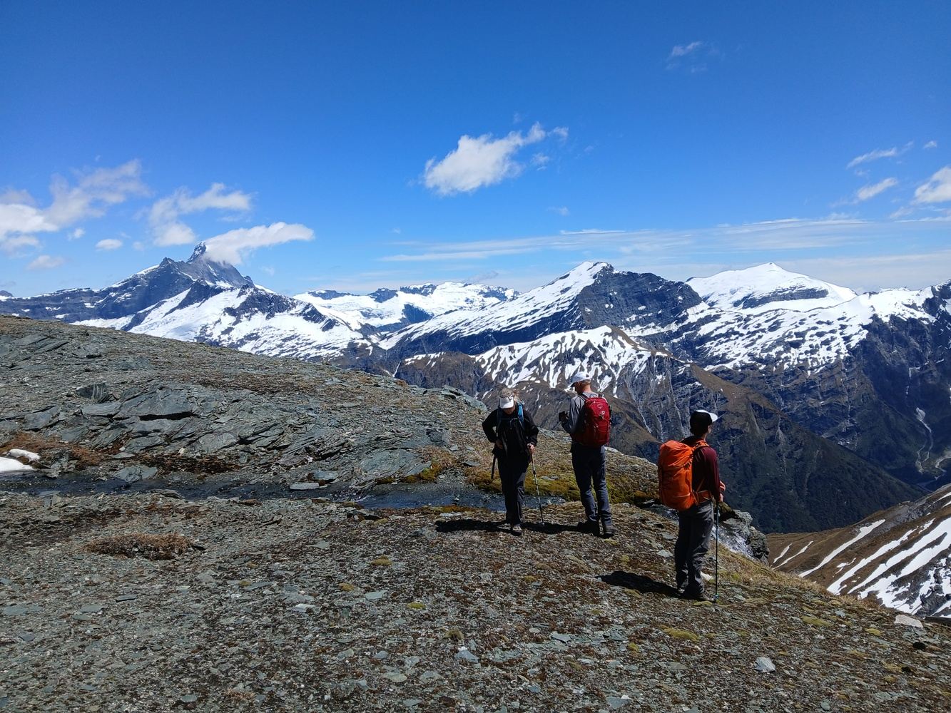 Alpine Heli-hike: Dragonfly Peak