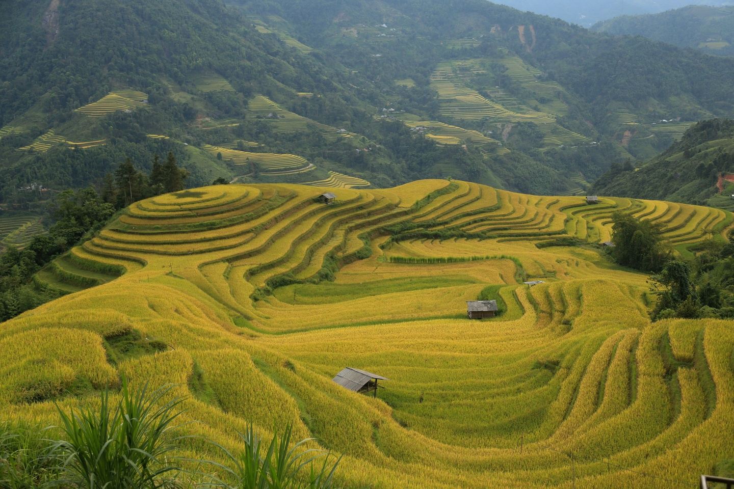 Caves, Passes & Karsts of Northern Vietnam in 10 days