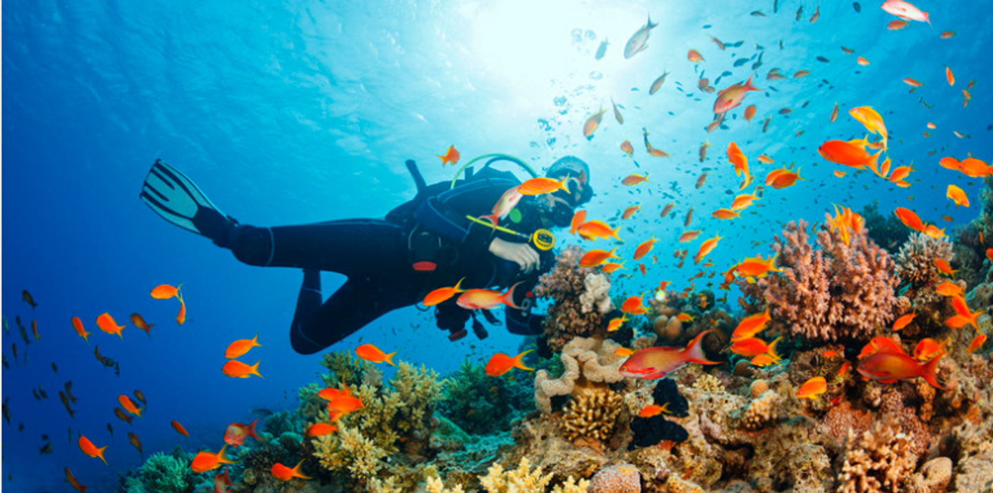 Red Sea Kite Adventures - Diving Safari Trips